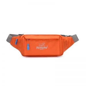 Travel Fanny Pack0