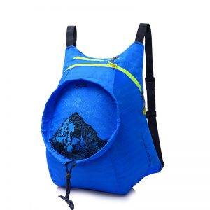 Foldable School Backpack