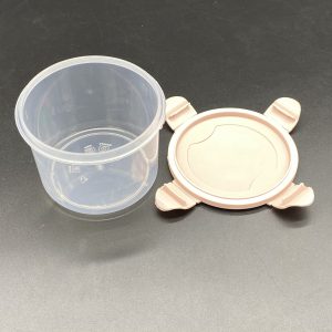 Plastic Snack Container with Snap Lid