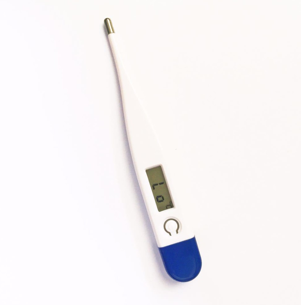 Portable Digital Thermometer2